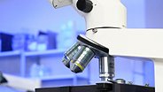 Mikroskop zur Untersuchung von Proben im Labor